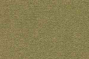 Ковролин Radici Nexus Muschio 8207 фото  | FLOORDEALER